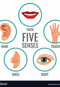 Image result for 5 Senses Eyes