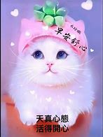 Image result for Cute Blue Cat Wallpaper