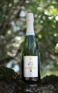 Image result for Salmon Champagne Montgolfiere Selection Brut