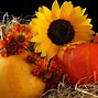 Image result for Happy Fall Apples and Pumpkins