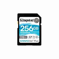 Image result for Kingston Canvas Go Plus SD Card
