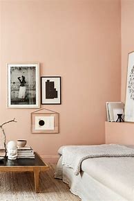 Image result for Warna Peach