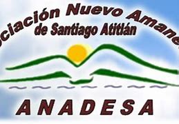 Image result for anadesa