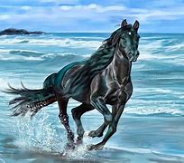 Image result for Running Horse HD Images