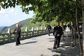 Image result for Wudang Pai