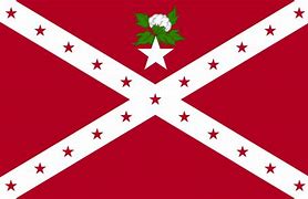 Image result for The Alabama State Flag