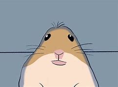Image result for Hamster Staring FaceTime Meme