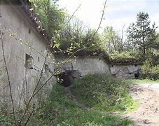 Image result for cybulice_małe