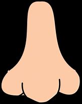 Image result for Big Nose Clip Art