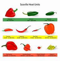 Image result for Scoville Unit Tester