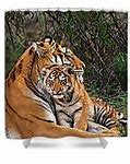 Image result for Siberian Tiger and Cub