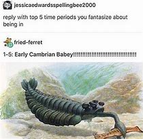 Image result for isopods hours memes