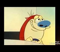 Image result for Ren and Stimpy Pinky and the Brain