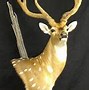 Image result for Axis Deer Mounts