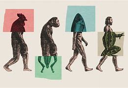 Image result for Evolutionism