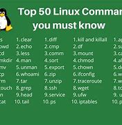 Image result for The Linux Command Line