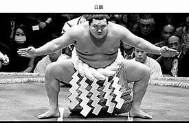 Image result for Samoan Sumo Wrestler