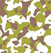 Camouflage 的图像结果
