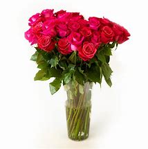 Image result for Hot Pink Flowers in a Can