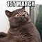 Image result for First Day of March Meme