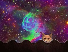 Image result for Galaxy Cat Mouth