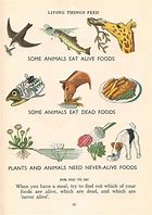 Image result for Living Things That Eat Cartoon