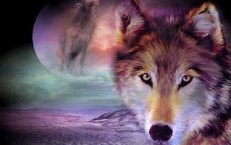 Image result for Amazing Wolf Backgrounds
