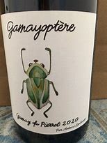 Image result for Antoine Lienhardt Bourgogne Cote d'Or Gamay Pierrot Gamayoptere