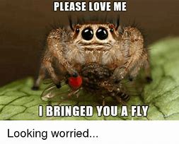 Image result for Spider Baby Meme