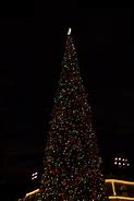 Image result for Beautiful Christmas Scenery