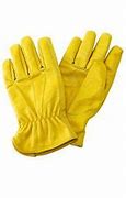 Image result for Luxury Gardening Gloves for Men