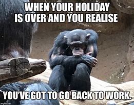 Image result for Vacation Over Back to Work Meme