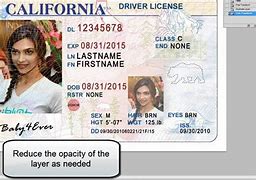 Image result for Georgia Identification Card