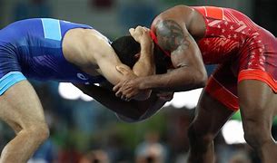 Image result for Wrestling Bounaries Rules