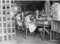 Image result for Teenagers Working in Factories
