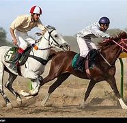 Image result for Horse Racing Jockey Silks
