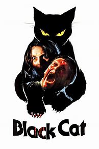 Image result for The Black Cat Movie