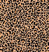 Image result for Cheetah Print Vinyl