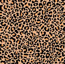 Image result for Animal Print Vinyl