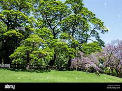 Image result for Buenos Aires Argentina weather