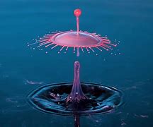 Image result for Abstract Photography Objects