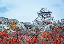 Image result for Osaka Castle Winter