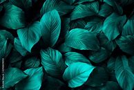 Image result for Abstract Green Light Texture
