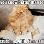 Image result for Literature Memes