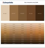 Image result for Cute Color Codes