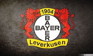 Image result for Bayer Leverkusen FC