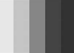 Image result for Grayscale Color