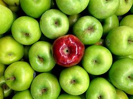 Image result for Red Apple That Turns into Black Apple Series