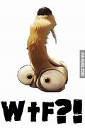 Image result for Sqirell From Ice Age Meme