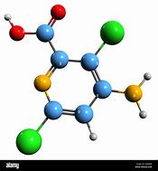 Image result for Aminopyralid
